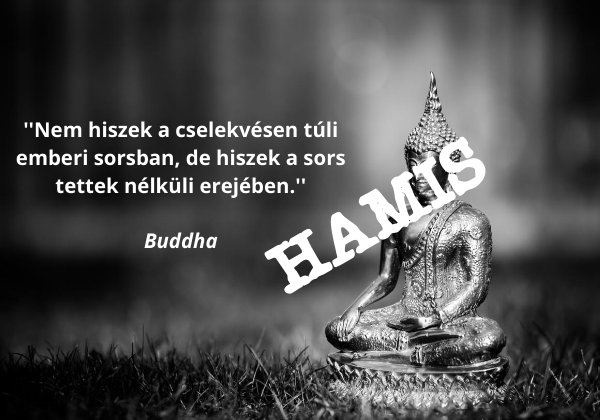 Hamis Buddha-idézet: Nem hiszek a cselekvésen túli emberi sorsban, de hiszek a sors tettek nélküli erejében.